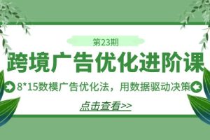 （7131期）跨境广告·优化进阶课·第23期，8*15数模广告优化法，用数据驱动决策