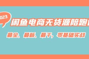 （7215期）闲鱼电商无货源陪跑课，最全、最新、最干，零基础实战！