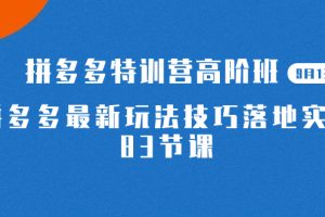 （7295期）2023拼多多·特训营高阶班【9月13日更新】拼多多最新玩法技巧落地实操-83节