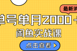 （7328期）咸鱼虚拟资料新模式，月入2w＋，可批量复制，单号一天50-60没问题 多号多撸