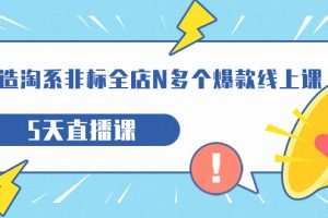 （7343期）打造-淘系-非标全店N多个爆款线上课，5天直播课（19期）