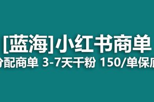 （7349期）2023蓝海项目，小红书商单，快速千粉，长期稳定，最强蓝海没有之一