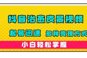 （7414期）抖音治愈系夜景视频，起号迅速，多种变现方式，小白轻松掌握（附120G素材）