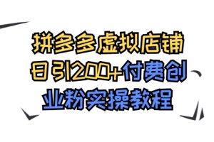 （7571期）拼多多虚拟店铺日引200+付费创业粉实操教程