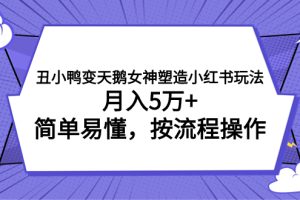 （7604期）丑小鸭变天鹅女神塑造小红书玩法，月入5万+，简单易懂，按流程操作