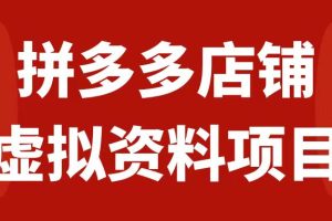 （7667期）拼多多店铺虚拟项目，教科书式操作玩法，轻松月入1000+