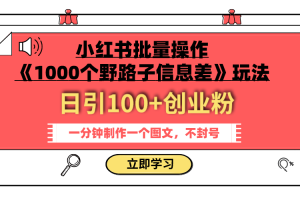 （7676期）小红书批量操作《1000个野路子信息差》玩法 日引100+创业粉 一分钟一个图文