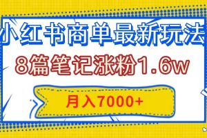 （7954期）小红书商单最新玩法，8篇笔记涨粉1.6w，几分钟一个笔记，月入7000+