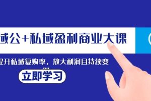 （8045期）全域公+私域盈利商业大课，有效提升私域复购率，放大利润且持续变现