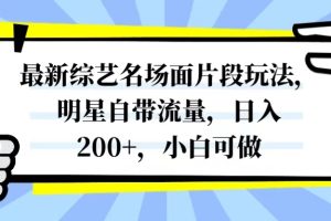 （8114期）最新综艺名场面片段玩法，明星自带流量，日入200+，小白可做