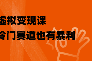 （8219期）虚拟变现课，冷门赛道也有暴利，手把手教你玩转冷门私域