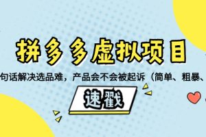 （8270期）拼多多虚拟项目：三两句话解决选品难，产品会不会被起诉（简单、粗暴、…