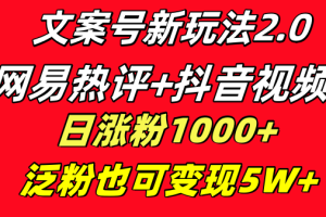 （8484期）文案号新玩法 网易热评+抖音文案 一天涨粉1000+ 多种变现模式 泛粉也可变现