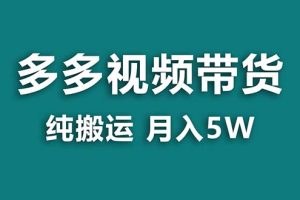 （8491期）【蓝海项目】拼多多视频带货 纯搬运一个月搞了5w佣金，小白也能操作 送工具