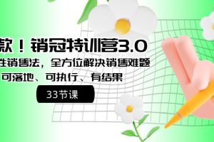 （8573期）爆款！销冠特训营3.0之顺人性销售法，全方位解决销售难题、可落地、可执…