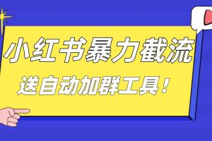 （8580期）小红书截流引流大法，简单无脑粗暴，日引20-30个高质量创业粉（送自动加…