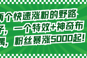 （8606期）两个快速涨粉的野路子，一个特效+神奇布偶，粉丝暴涨5000起！