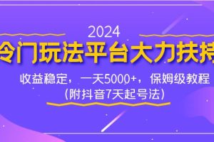 （8642期）2024冷门玩法平台大力扶持，收益稳定，一天5000+，保姆级教程（附抖音7…