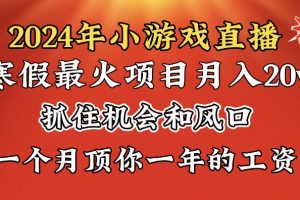 （8778期）2024年寒假爆火项目，小游戏直播月入20w+，学会了之后你将翻身