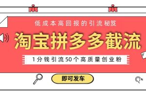 （8787期）淘宝拼多多电商平台截流创业粉 只需要花上1分钱，长尾流量至少给你引流50粉