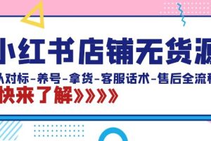 （8897期）小红书店铺无货源：从对标-养号-拿货-客服话术-售后全流程（20节课）