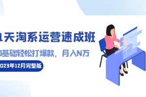 （8910期）21天淘系运营-速成班2023年12月完整版：0基础轻松打爆款，月入N万-110节课