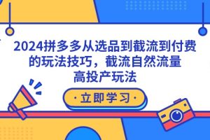 （9037期）2024拼多多从选品到截流到付费的玩法技巧，截流自然流量玩法，高投产玩法