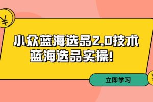 （9189期）拼多多培训第33期：小众蓝海选品2.0技术-蓝海选品实操！