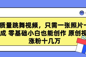 （9222期）高质量跳舞视频，只需一张照片一键生成 零基础小白也能创作 原创视频 涨…