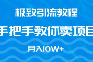 （9265期）极致引流教程，手把手教你卖项目，月入10W+