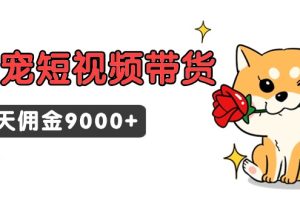 （9273期）东哲日记·萌宠短视频带货，2天佣金9000+