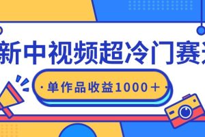 （9275期）最新中视频超冷门赛道，轻松过原创，单条视频收益1000＋