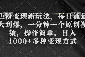 （9282期）色粉变现新玩法，每日流量大到爆，一分钟一个原创视频，操作简单，日入1…