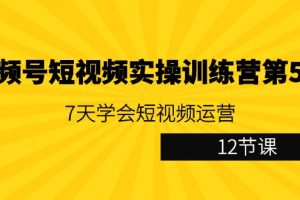 （9029期）视频号短视频实操训练营第5期：7天学会短视频运营（12节课）