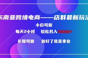 （9060期）东南亚跨境电商店群新玩法2—小白每天两小时 轻松10000+