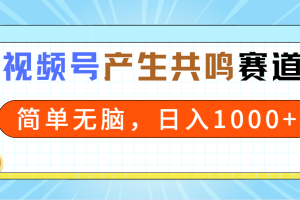 （9133期）2024年视频号，产生共鸣赛道，简单无脑，一分钟一条视频，日入1000+