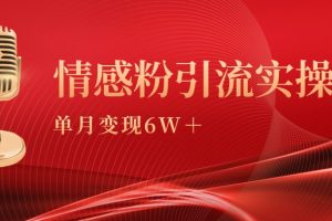 （9433期）单月变现6w+，情感粉引流变现实操课