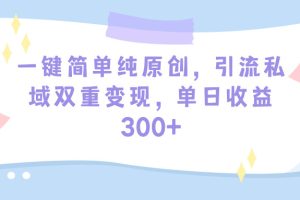 （9472期）一键简单纯原创，引流私域双重变现，单日收益300+（教程+素材）