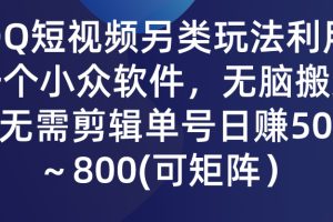 （9493期）QQ短视频另类玩法，利用一个小众软件，无脑搬运，无需剪辑单号日赚500～…