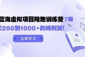 （9541期）黄岛主《淘宝蓝海虚拟项目陪跑训练营7期》每天200到1000+的纯利润