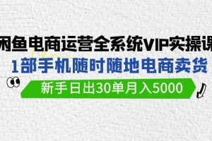 （9547期）闲鱼电商运营全系统VIP实战课，1部手机随时随地卖货，新手日出30单月入5000