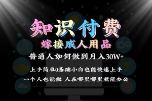 （9072期）2024普通人做知识付费结合成人用品如何实现单月变现30w 保姆教学1.0