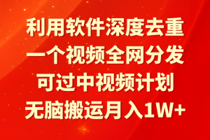 （9224期）利用软件深度去重，一个视频全网分发，可过中视频计划，无脑搬运月入1W+