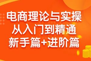 （9576期）电商理论与实操从入门到精通：抖店+淘系+多多，新手篇+进阶篇