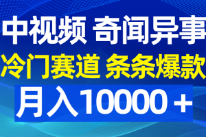 （9627期）中视频奇闻异事，冷门赛道条条爆款，月入10000＋