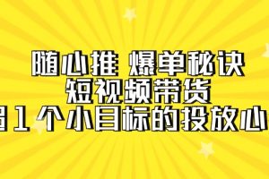 （9687期）随心推 爆单秘诀，短视频带货-超1个小目标的投放心得（7节视频课）