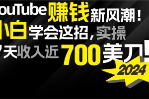 （9647期）2024 YouTube赚钱新风潮！小白学会这招，7天收入近7百美金！