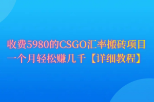 （9776期）CSGO装备搬砖，月综合收益率高达60%，你也可以！