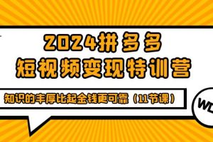 （9817期）2024拼多多短视频变现特训营，知识的丰厚比起金钱更可靠（11节课）