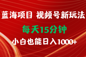 （9813期）蓝海项目视频号新玩法 每天15分钟 小白也能日入1000+